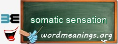 WordMeaning blackboard for somatic sensation